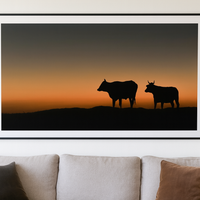 6616ab8ed8c3c268632d0a1d_cows-in-the-sunset_1765445096475.png
