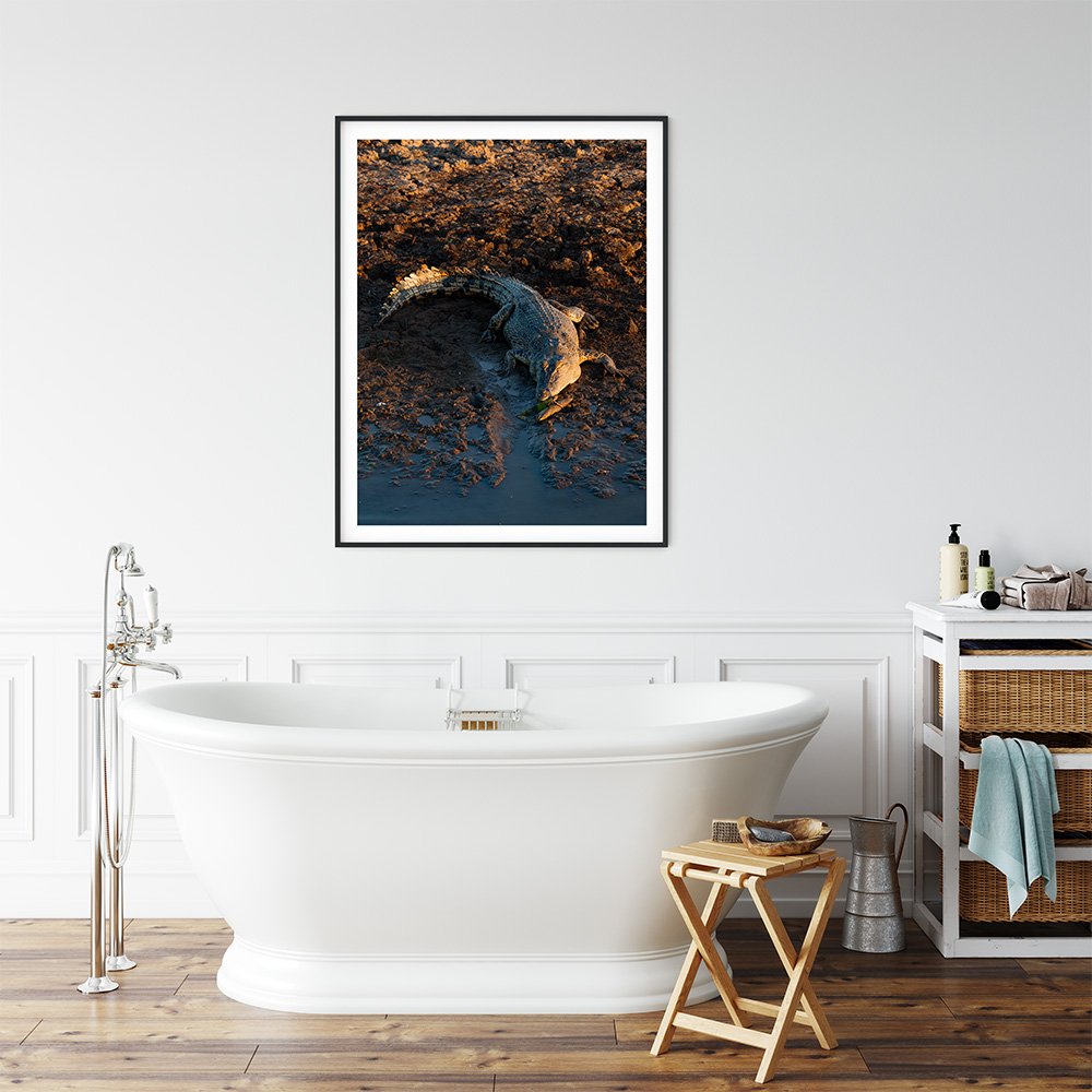 6616ab8ed8c3c268632d0a1d_crocodile-lazing-on-a-riverbank-black-frame_1763360380842.jpg