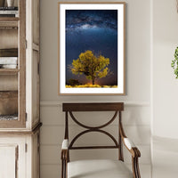 6616ab8ed8c3c268632d0a1d_desert-oak-under-the-milky-way-oak_1773786993568.jpg
