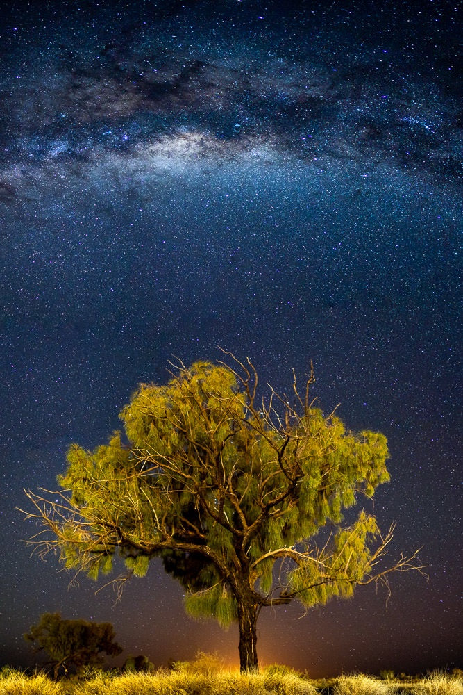 6616ab8ed8c3c268632d0a1d_desert-oak-under-the-milky-way_1773786513582.jpg