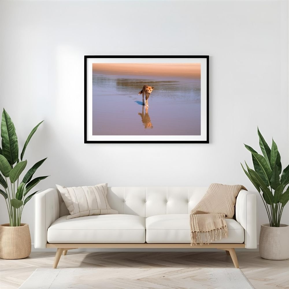 6616ab8ed8c3c268632d0a1d_dingo-on-kgari-island-landscape-black-frame_1765693352608.jpg