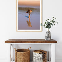 6616ab8ed8c3c268632d0a1d_dingo-reflections-on-kgari-island-wood-frame_1765693404481.jpg
