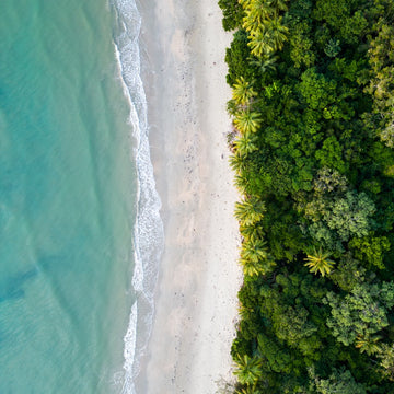 Daintree Rainforest Aerial Beach View