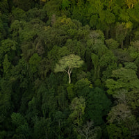 6616ab8ed8c3c268632d0a1d_dji-20240201001357-0110-d-copy_1770890191452.jpg