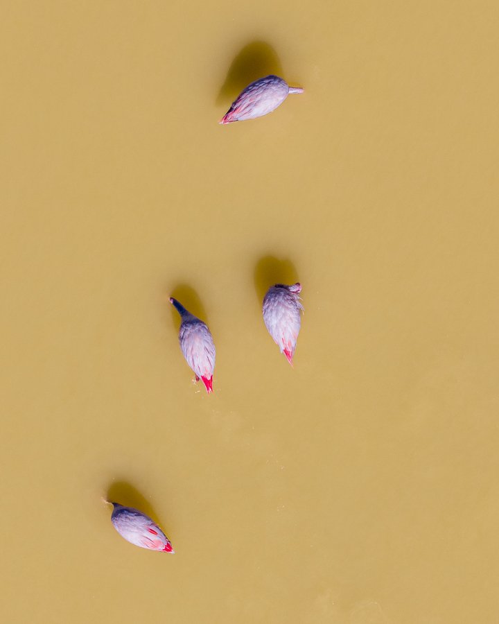 6616ab8ed8c3c268632d0a1d_dji-20260412195748-0105-d-hdr-jpeg-riptide_1782263087671.jpg