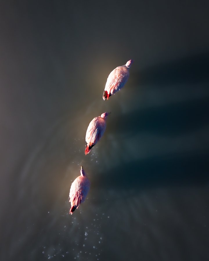 6616ab8ed8c3c268632d0a1d_dji-20260413121830-0172-d-jpeg-riptide_1782263189857.jpg
