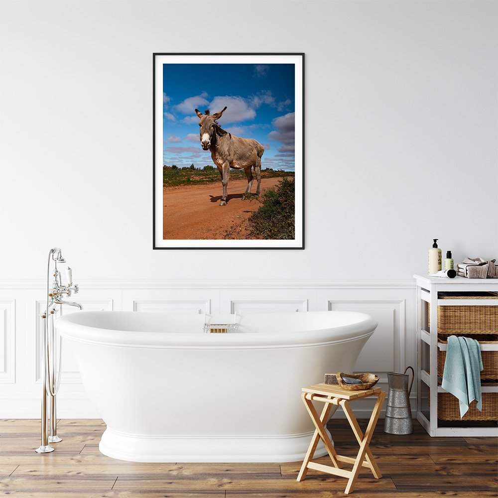 6616ab8ed8c3c268632d0a1d_donkey-in-silverton-nsw-black-frame_1765693550110.jpg