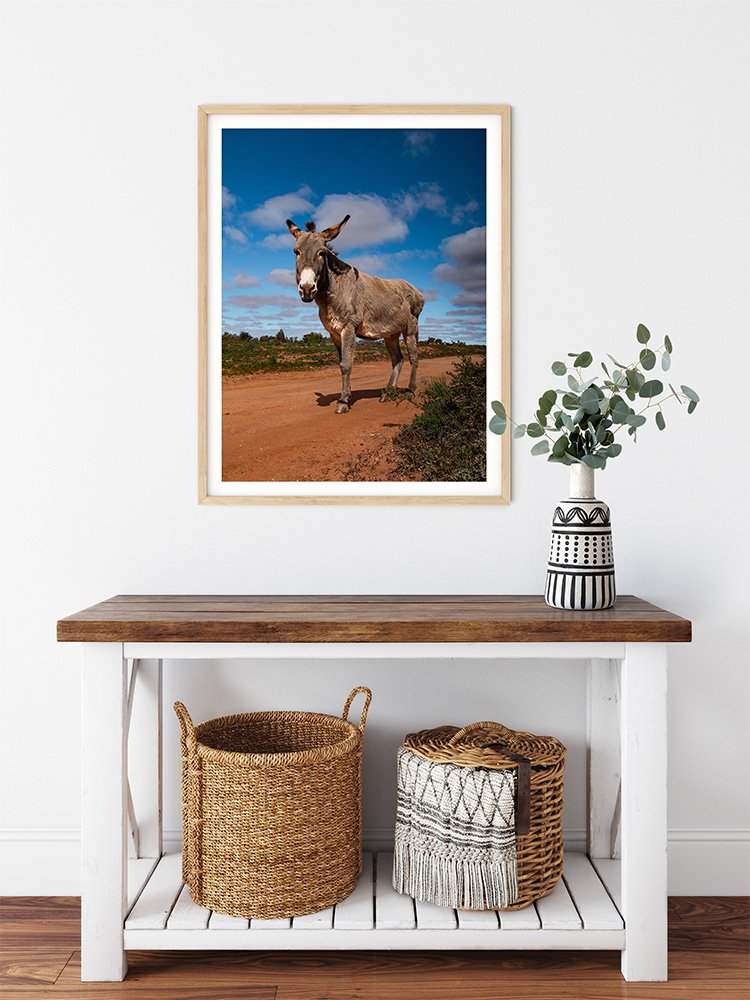 6616ab8ed8c3c268632d0a1d_donkey-in-silverton-nsw-wood-frame_1765693550110.jpg