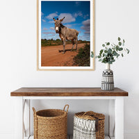 6616ab8ed8c3c268632d0a1d_donkey-in-silverton-nsw-wood-frame_1765693550110.jpg