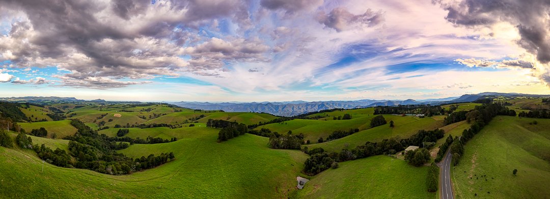 6616ab8ed8c3c268632d0a1d_dorrigo-plateau_1775944739387.jpg