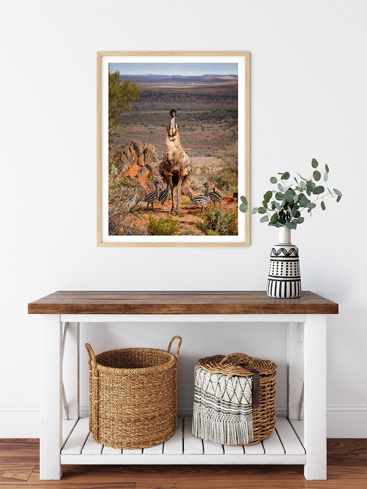 6616ab8ed8c3c268632d0a1d_emu-with-chicks-broken-hill-nsw-wood-frame_1765693690989.jpg
