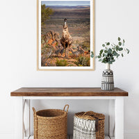 6616ab8ed8c3c268632d0a1d_emu-with-chicks-broken-hill-nsw-wood-frame_1765693690989.jpg