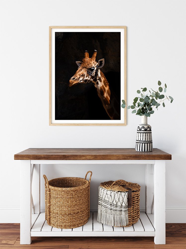 6616ab8ed8c3c268632d0a1d_giraffe-at-taronga-zoo-wood-frame_1765693815027.jpg
