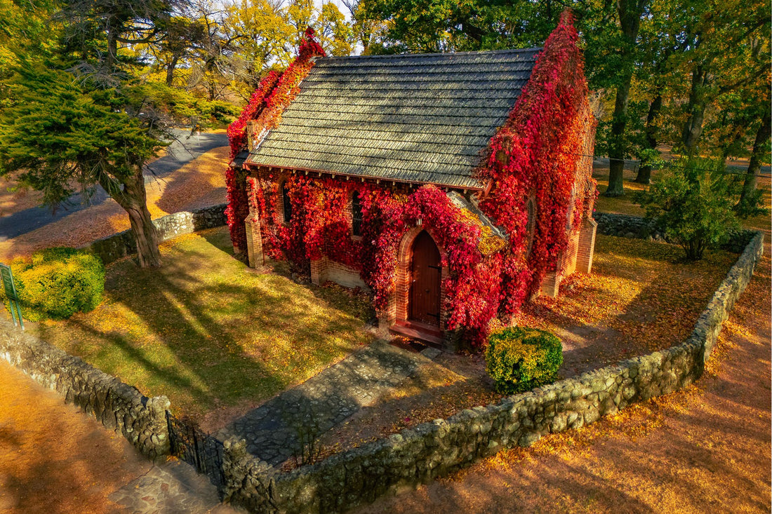 6616ab8ed8c3c268632d0a1d_gostwyck-chapel-autum-2-3l-3_1779704333523.jpg