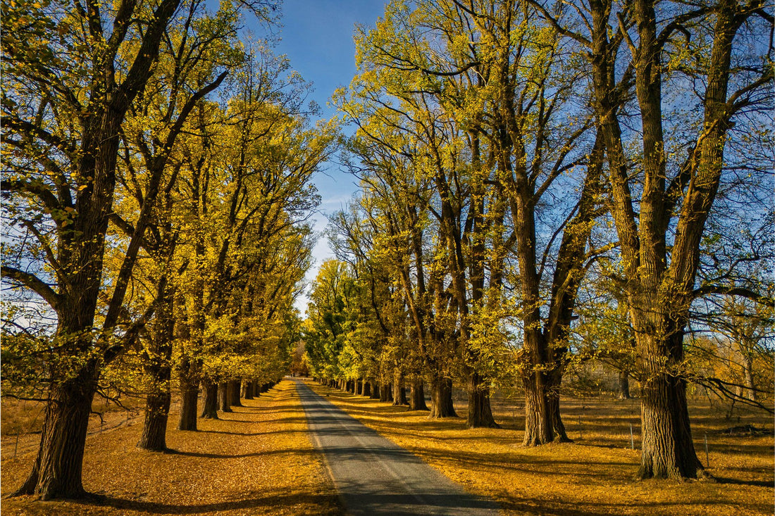 6616ab8ed8c3c268632d0a1d_gostwyck-chapel-autum-2-3l-5_1779704778209.jpg