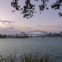6616ab8ed8c3c268632d0a1d_harbour-hush-_1770524203522.jpg