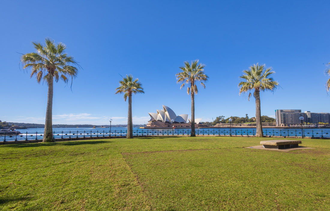 6616ab8ed8c3c268632d0a1d_harbour-palms-1_1785755327447.jpg