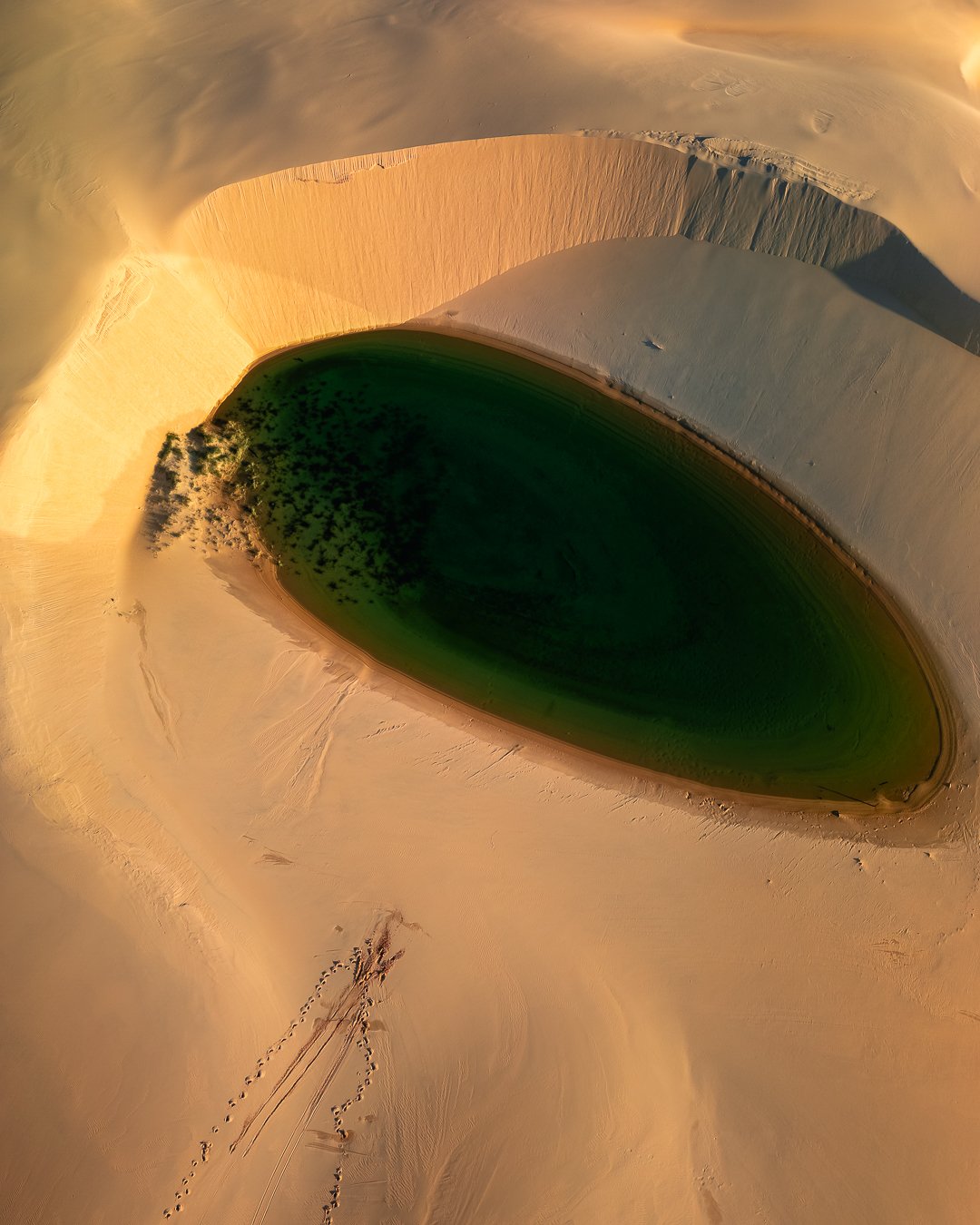 6616ab8ed8c3c268632d0a1d_hat-head-dune-4-5p-3_1774689791959.jpg