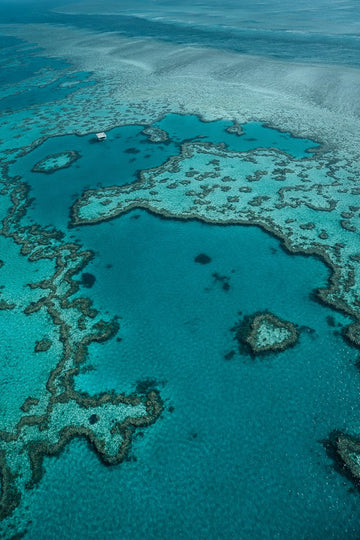 6616ab8ed8c3c268632d0a1d_heart-reef-in-the-whitsundays-australia_1755563387369.jpg