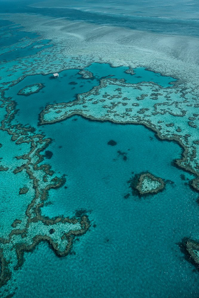 6616ab8ed8c3c268632d0a1d_heart-reef-in-the-whitsundays-australia_1755563387369.jpg