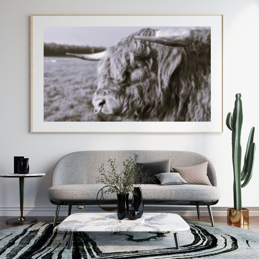 6616ab8ed8c3c268632d0a1d_highland-bull-monochrome-mockup_1785069124642.png