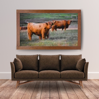 6616ab8ed8c3c268632d0a1d_highland-pair-mockup_1785071306197.png