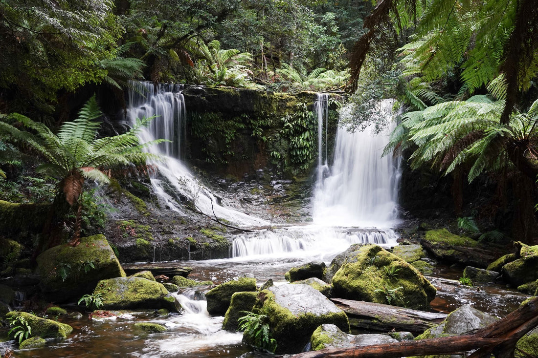 6616ab8ed8c3c268632d0a1d_horseshoe-falls-mt-field-national-park-in-tasmania_1768022040385.jpg