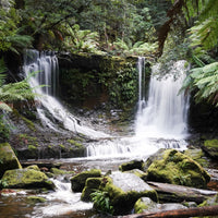 6616ab8ed8c3c268632d0a1d_horseshoe-falls-mt-field-national-park-in-tasmania_1768022040385.jpg