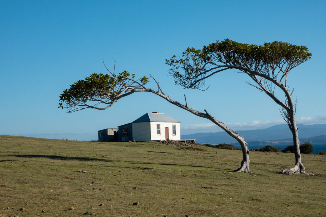 6616ab8ed8c3c268632d0a1d_hut-in-maria-island-tasmania_1768025200537.jpg