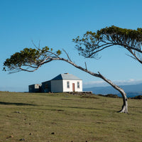 6616ab8ed8c3c268632d0a1d_hut-in-maria-island-tasmania_1768025200537.jpg
