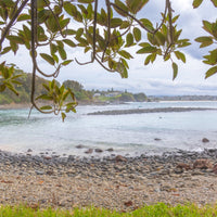 6616ab8ed8c3c268632d0a1d_kiama-coastal-hideaway-1_1779621046507.jpg