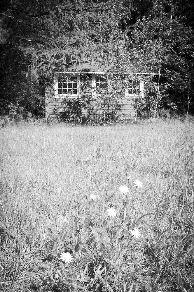 6616ab8ed8c3c268632d0a1d_klein-abandoned-cabin-in-overgrown-field-in-black-and-white_1763990137126.jpg