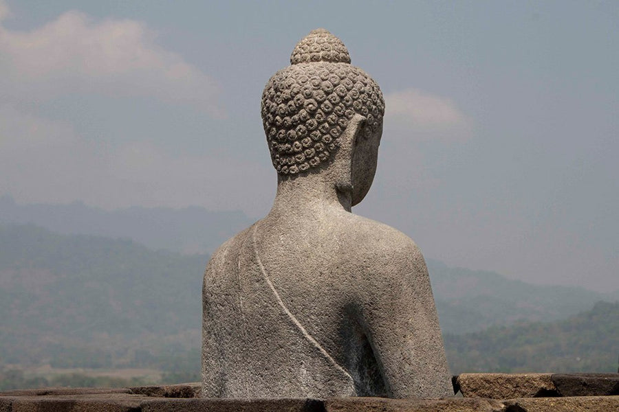 6616ab8ed8c3c268632d0a1d_klein-buddha-statue-overlooking-misty-hills_1764584386680.jpg