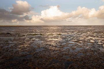 6616ab8ed8c3c268632d0a1d_klein-tidal-flats-reflecting-evening-clouds_1764586652153.jpg