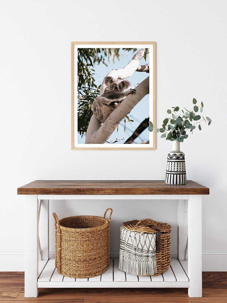 6616ab8ed8c3c268632d0a1d_koala-perched-in-a-tree-wood-frame_1763361078550.jpg