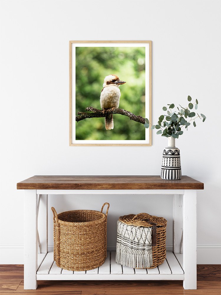 6616ab8ed8c3c268632d0a1d_kookaburra-branch-portrait-wood-frame_1763361502589.jpg