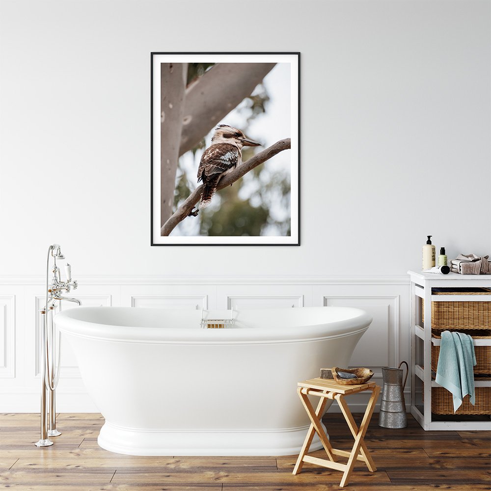 6616ab8ed8c3c268632d0a1d_kookaburra-in-a-tree-black-frame_1763361335614.jpg