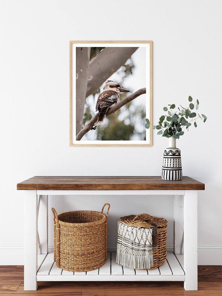 6616ab8ed8c3c268632d0a1d_kookaburra-in-a-tree-wood-frame_1763361335614.jpg