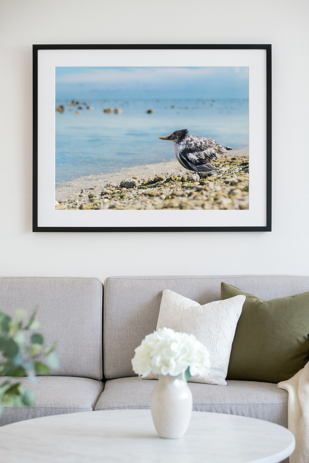 6616ab8ed8c3c268632d0a1d_lady-elliot-island-chick-3_1772517500271.png