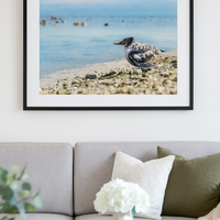 6616ab8ed8c3c268632d0a1d_lady-elliot-island-chick-3_1772517500271.png