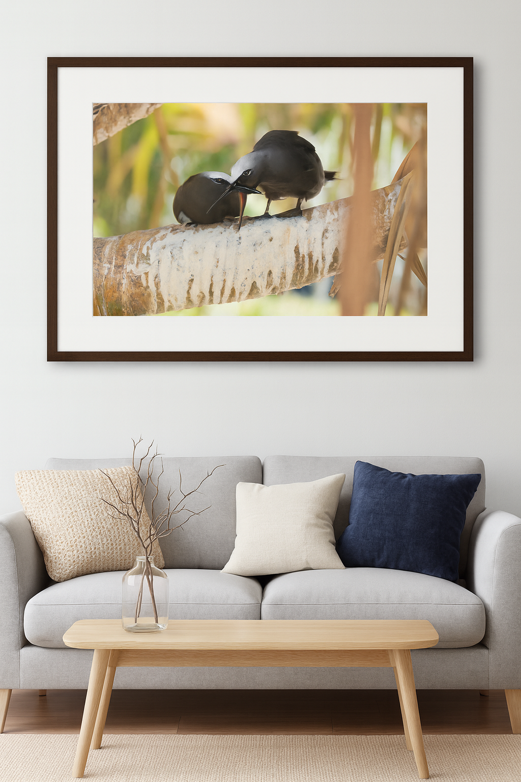 6616ab8ed8c3c268632d0a1d_lady-elliot-island-chick-4_1772516229059.png