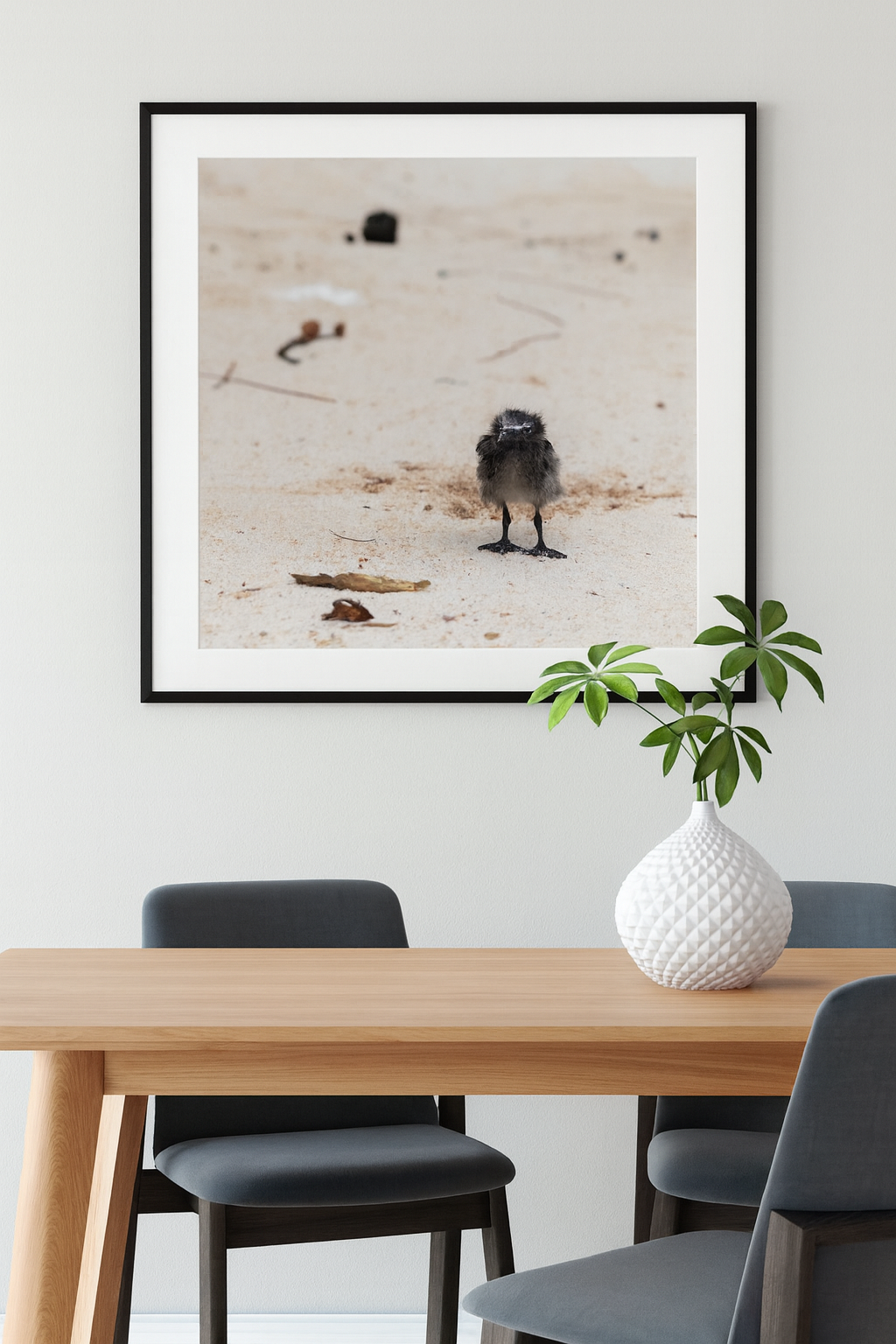 6616ab8ed8c3c268632d0a1d_lady-elliot-island-chick_1772517648236.png