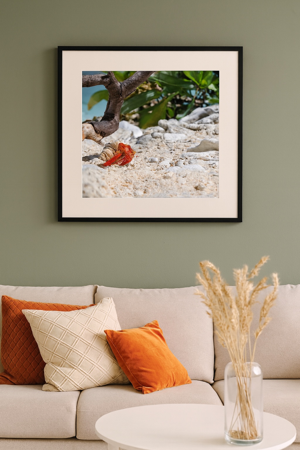 6616ab8ed8c3c268632d0a1d_lady-elliot-island-crab-1_1772516081391.png