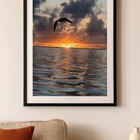 6616ab8ed8c3c268632d0a1d_lady-elliot-island-sunset_1772516814510.png