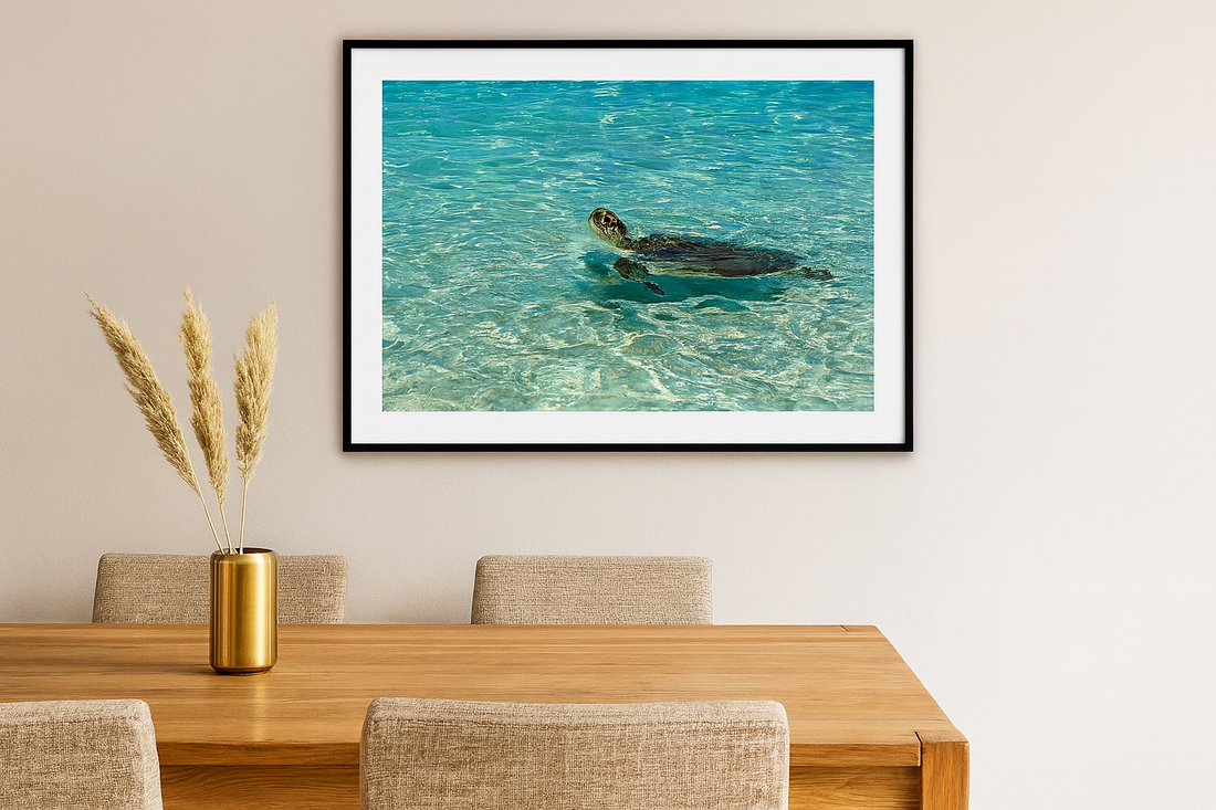 6616ab8ed8c3c268632d0a1d_lady-elliot-island-turtle-2_1772517200882.png