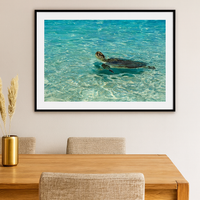 6616ab8ed8c3c268632d0a1d_lady-elliot-island-turtle-2_1772517200882.png