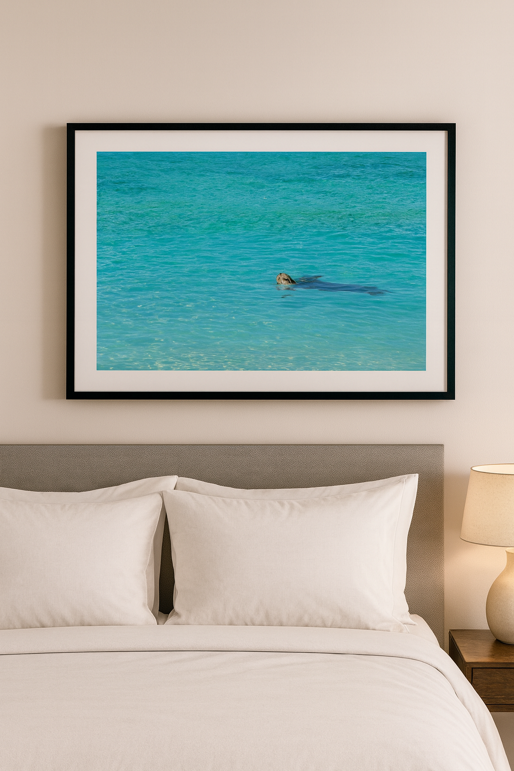 6616ab8ed8c3c268632d0a1d_lady-elliot-island-turtle_1772516981232.png