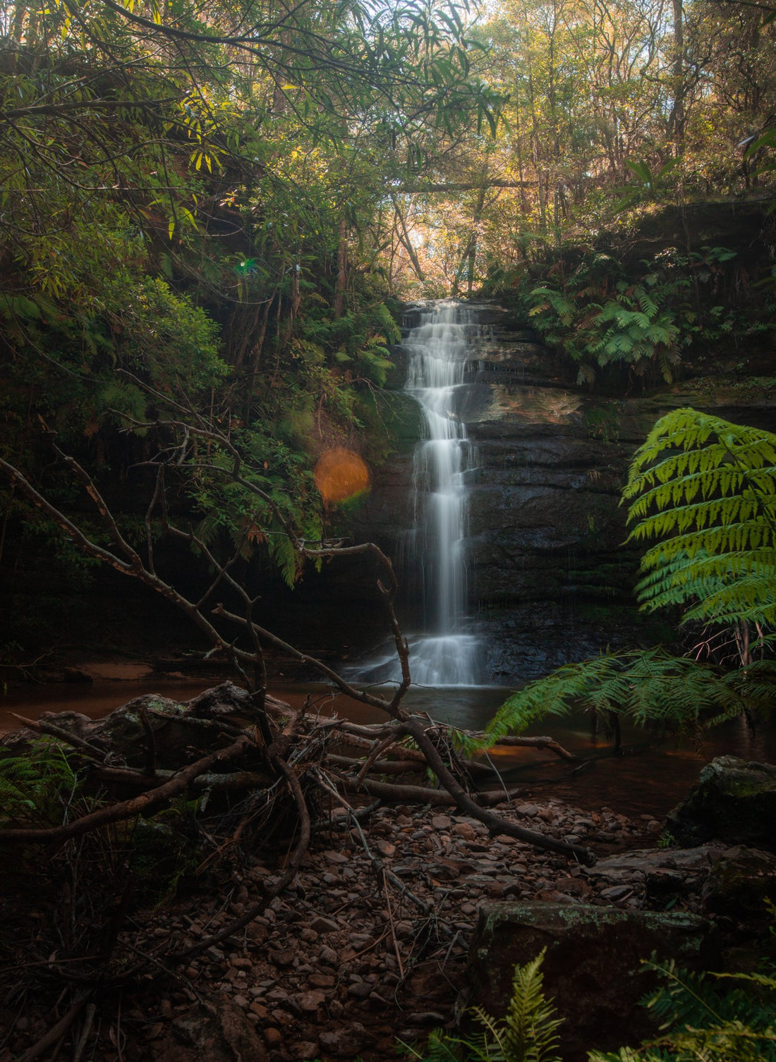 6616ab8ed8c3c268632d0a1d_leura-lushness_1787837536525.jpg