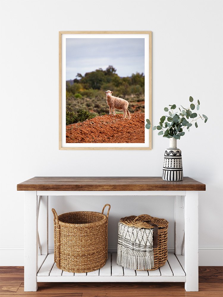 6616ab8ed8c3c268632d0a1d_little-lamb-in-broken-hill-nsw-wood-frame_1765694331003.jpg