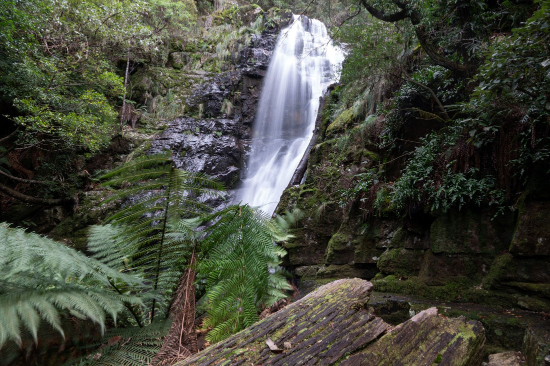 6616ab8ed8c3c268632d0a1d_mathinna-falls-in-tasmania_1768024464062.jpg